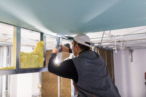 Best Blown-in Insulation in Dickson, TN