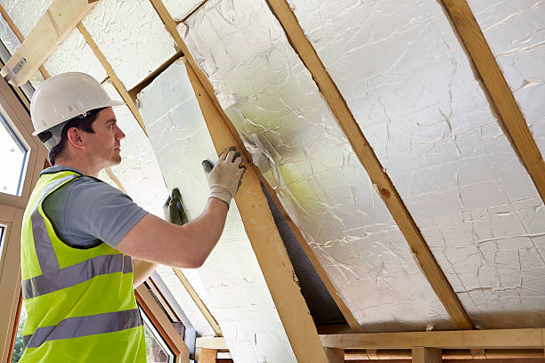 Best Geographic-Specific Insulation Services in Dickson, TN