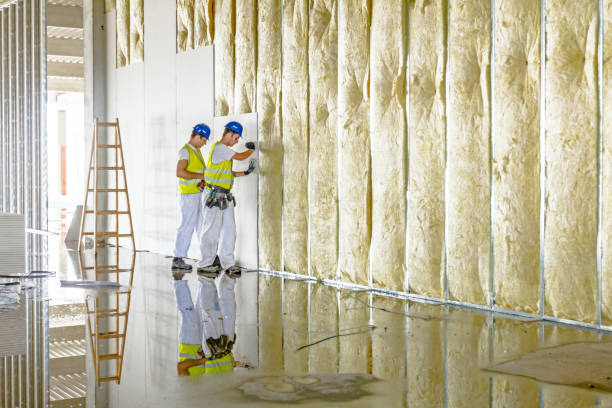 Types of Insulation We Offer in Dickson, TN
